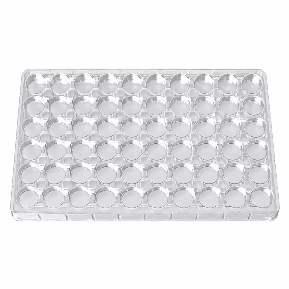 Eco-amica Cibus-gradus Lipstick Tray