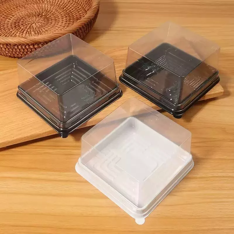 Plastic Thermoplastic Rutrum Box
