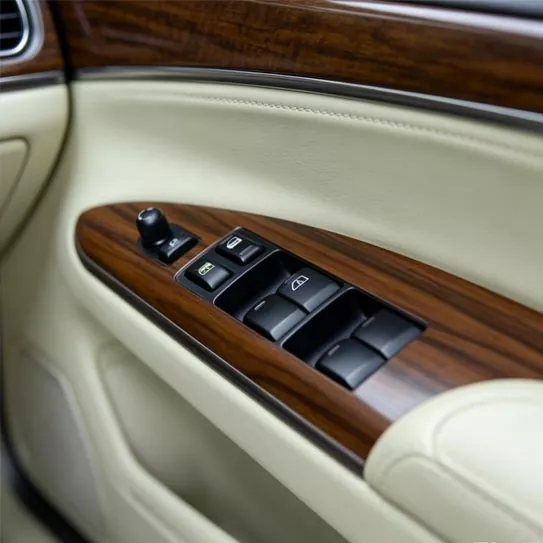 Plastic gere-resistentes Automotive Interior Trim Puga pyga